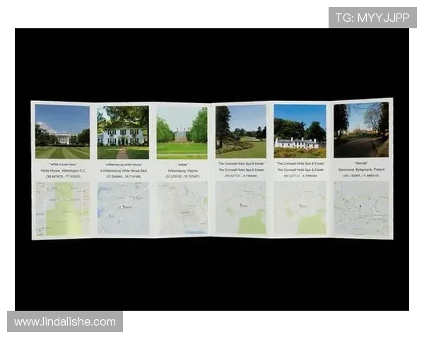 2026年bob真人会员登录入口官网详细指南及常见问题解决方案推荐