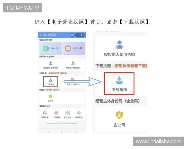 最新AG视讯厅会员登录技巧与常见问题解答助你快速掌握登录操作流程
