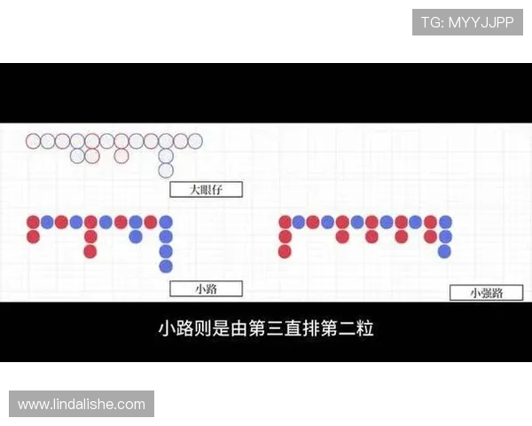 百家乐大眼仔路在实战中的应用技巧与常见误区解析帮助玩家避免亏损