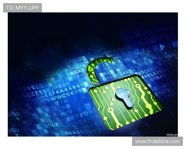 ag九游会官网登录安全保障措施全面解析保障玩家账号安全的有效措施与防范技巧